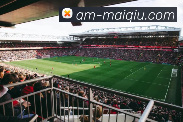 足球压球开户全站App